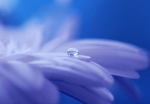 vulnerablebeauté