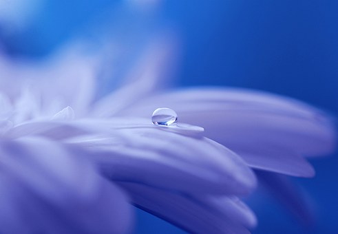 vulnerablebeauté