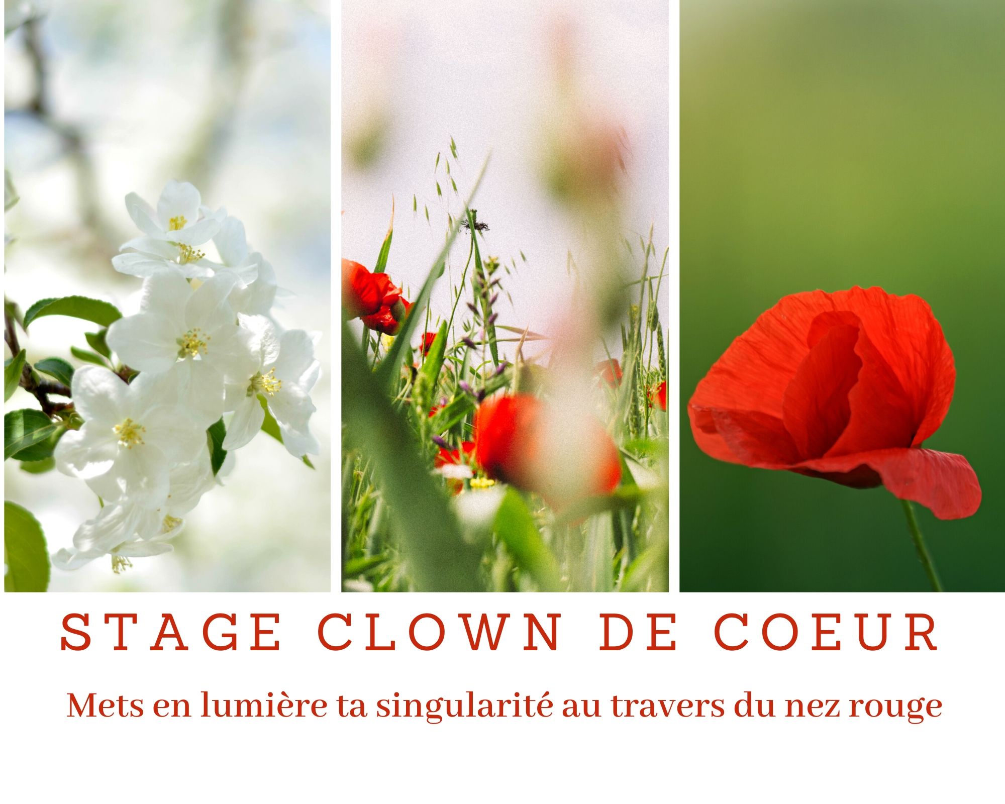 Visuel Clown de Coeur Stage Clown Mai 2020 Pyrénées Paula Indra Michels Caroline Laroche