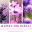 Massage cours Parent âgée