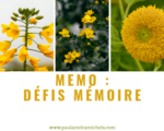 Mémo : Défis mémoire