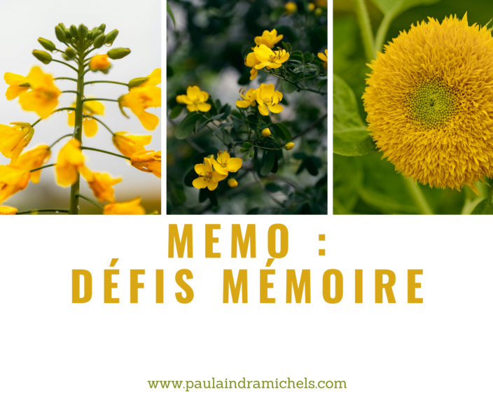 MEMO Défis mémoire MEMO Défis mémoire