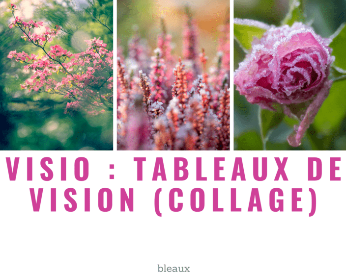 VISIO : Tableau de vision